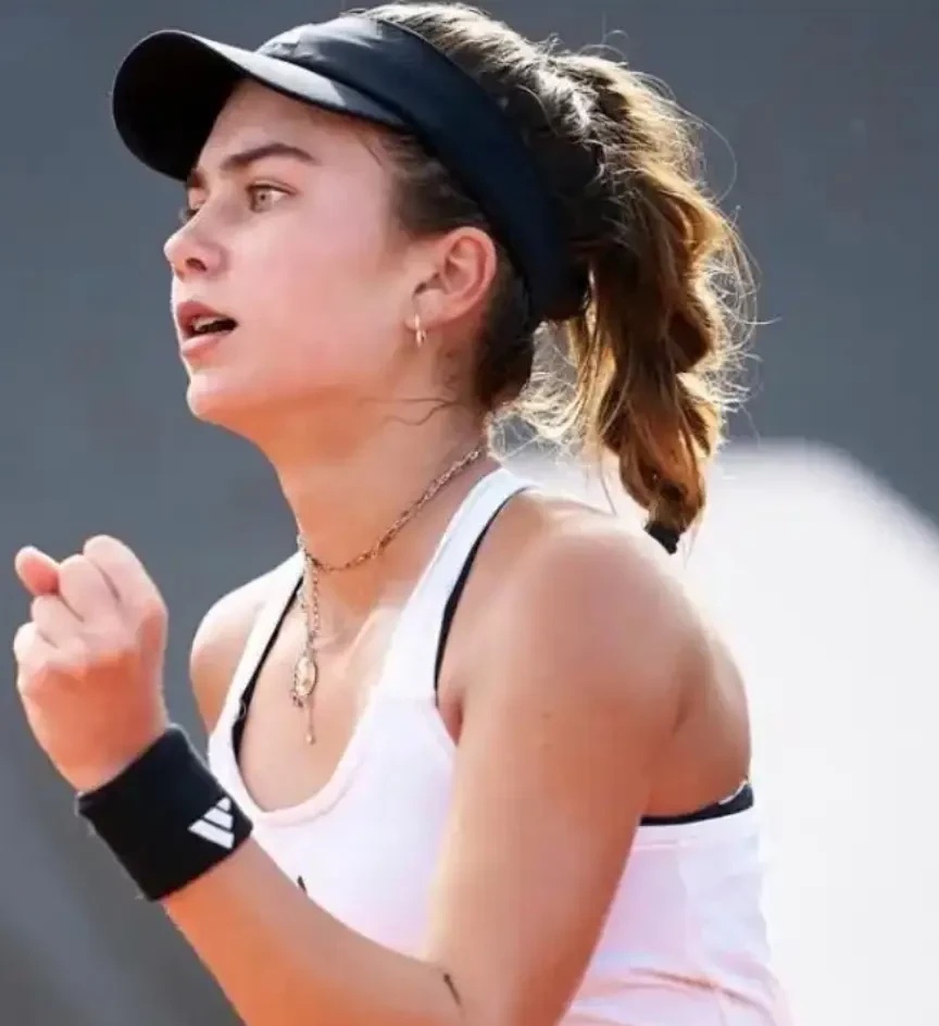 的数个转会 的数个转会