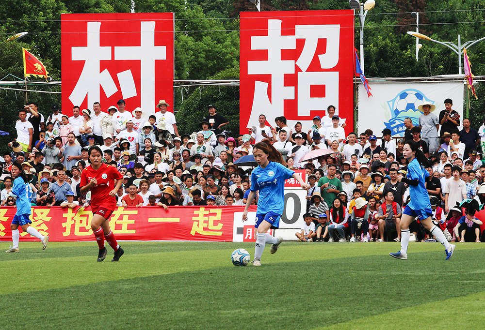 無論是球迷 無論是球迷